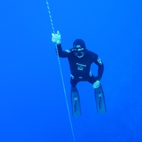 Freediver 